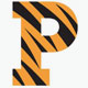 Princeton-University