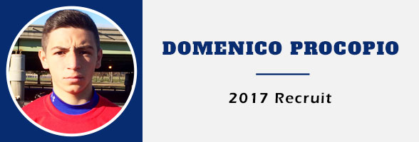 Domenico Procopio 2017