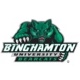“Binghamton-University