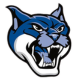 University-of-Connecticut